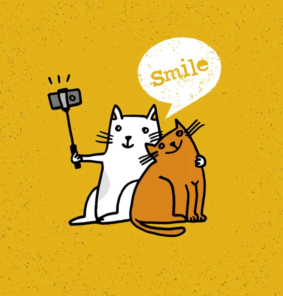 İki kedi fotoğraf yapma