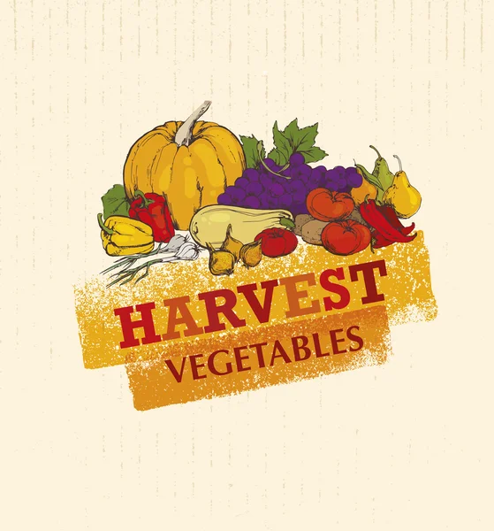 Festa del raccolto Concetto di verdure autunnali — Vettoriale Stock