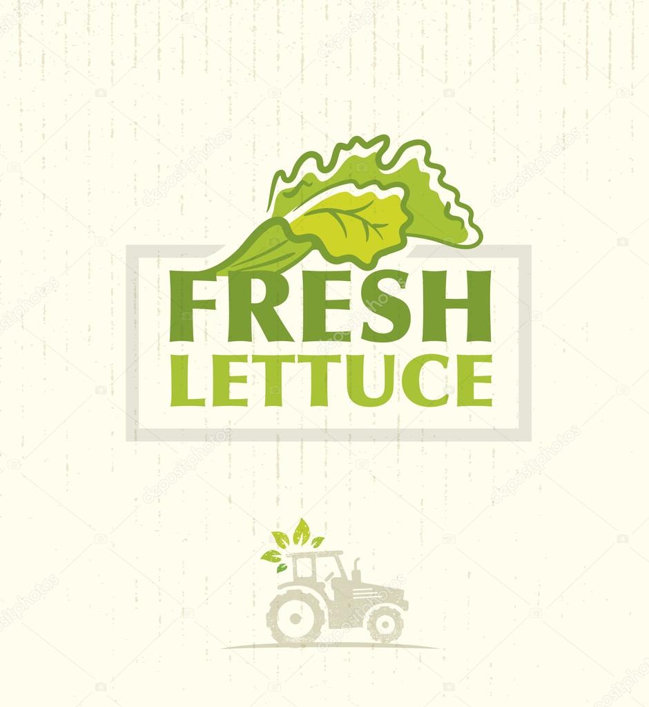 Farm Fresh Lettuce Salad Background