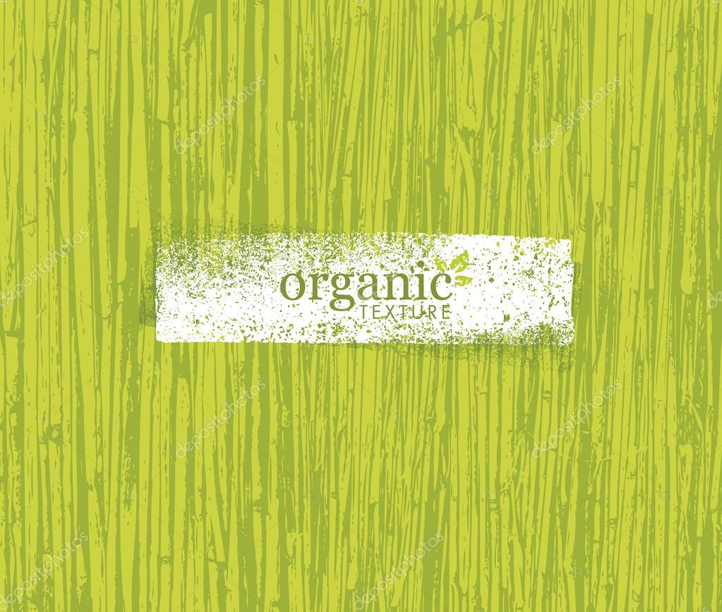 Organic Nature Bamboo Stock Vector Image #93750410