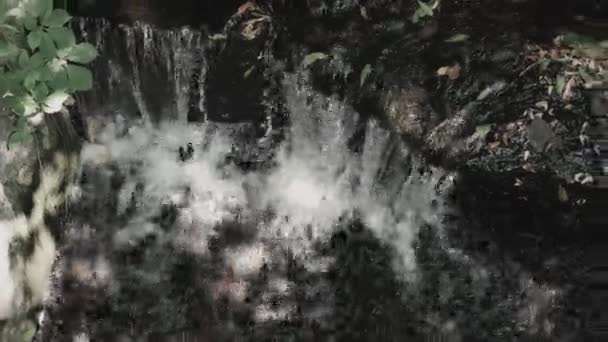 岩の上の滝 石の上を流れる小川 紅葉の小さな滝のビデオ壁紙 森の中の水のスプラッシュ — ストック動画