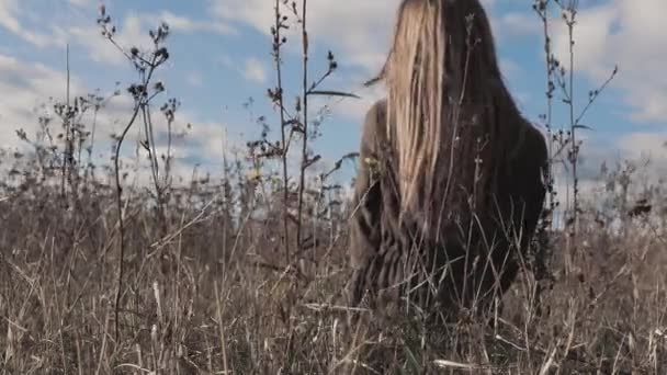 Lonely Girl Field Sits Tall Grass Thickets Girl Beautiful Hair — Stock Video