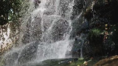 Ormanda bir şelale, vahşi doğada güzel bir şelale, kayaların üzerinden akan su, bir dağ nehri.