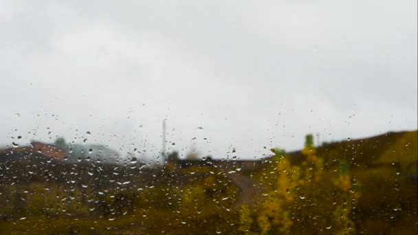 雨が窓ガラスの上に降り 雨の時間が経過し 水が窓の下を流れ カーシィドロップ — ストック動画
