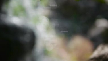 Bokeh titremesi, video arkaplan, bulanık arkaplan şelalesi. Soyutlama