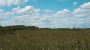 Tarla ve orman üzerinde hareket eden bulutlar, zaman atlaması biçimindeki olbakların hareketleriyle manzaralar.