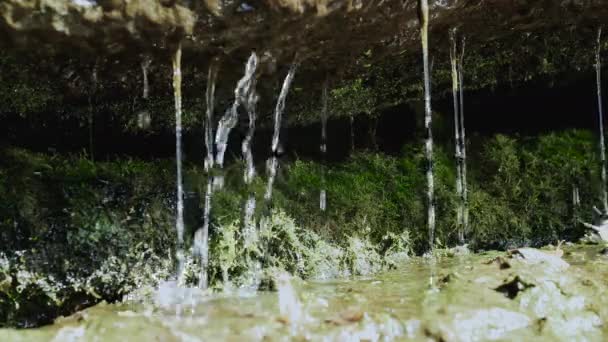 Gotas Sobre Piedras Cubiertas Musgo Verde Agua Montaña Fluye Sobre — Vídeos de Stock