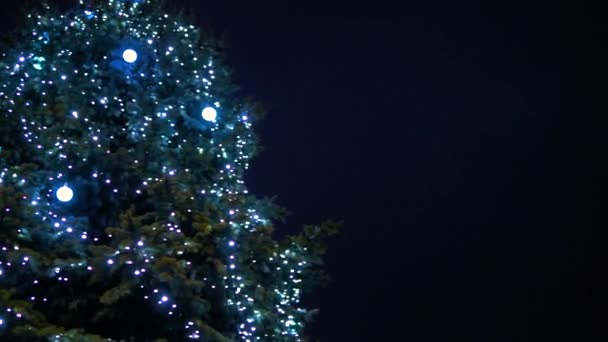 Choinka Noworoczna Świąteczne Światła Wysoka Choinka Noworoczna Girlandą — Wideo stockowe