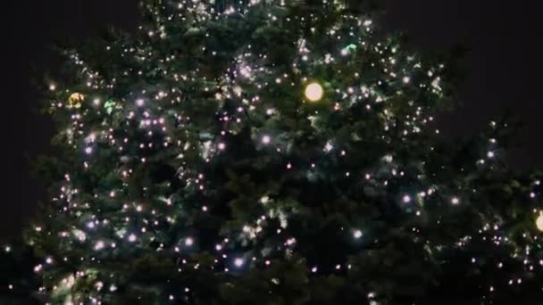 Kerstboom Close Mooie Kerstboom Versierd Met Een Bloemenslinger Nieuwjaarslichten — Stockvideo