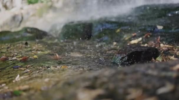 Raindrops, waterfall on stones, rain drops fall to the ground. Water is pouring. Water splash video wallpaper — Stock Footage Raindrops Waterfall Stones Rain Drops Fall Ground Water Pouring Water Stock Video