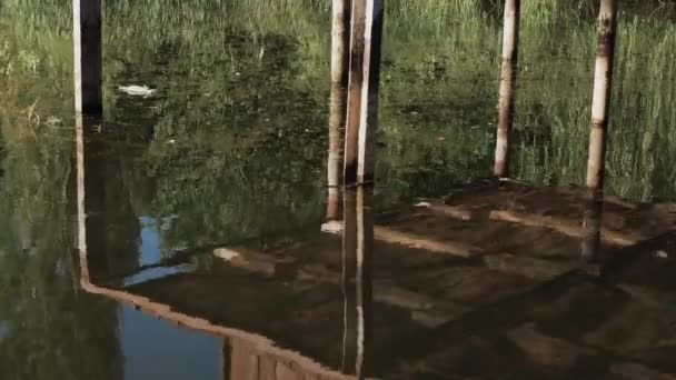 Poluição Fluvial Com Plástico Rio Está Moitas Entre Algas Rio — Vídeo de Stock