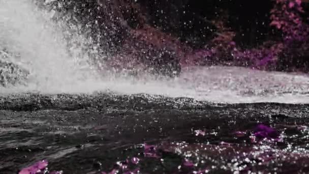 Górski Wodospad Wylewa Się Skał Piękny Wodospad Fioletowe Liście Kwiaty — Wideo stockowe