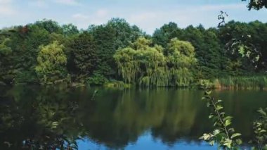 Nehrin zamanı ve güzel bir ormanın doğası, yeşil yapraklar ve hızlı akan bir nehir. Nehir ve ormanın manzarası