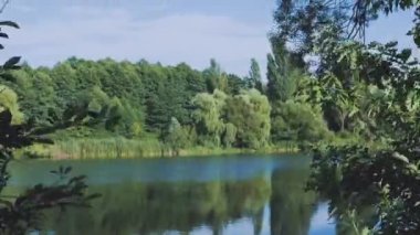 Doğanın ve nehirlerin zamanı, akan bir nehri olan güzel bir orman, gölü olan yoğun bir orman, bir orman manzarası..
