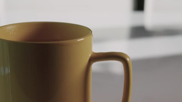 Tee Einer Tasse Aufbrühen Einen Duftenden Teebeutel Eine Tasse Tauchen — Stockvideo