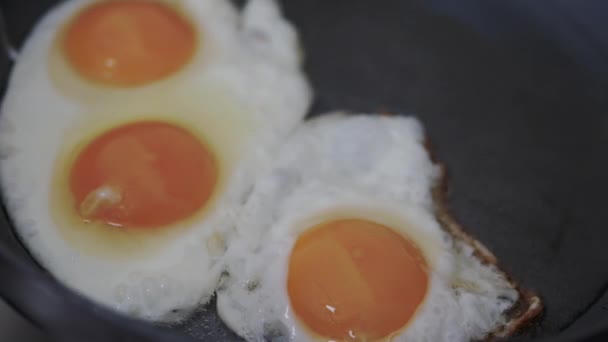 Μαγειρεύοντας Μια Ομελέτα Ένα Τηγάνι Ορεκτικό Αυγά Κοτόπουλου Χωρίς Όστρακα — Αρχείο Βίντεο