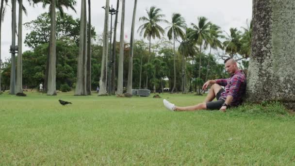 Handsome Stylish Guy Enjoying Summer Man Walks Grass Sits Palm — Stock Video