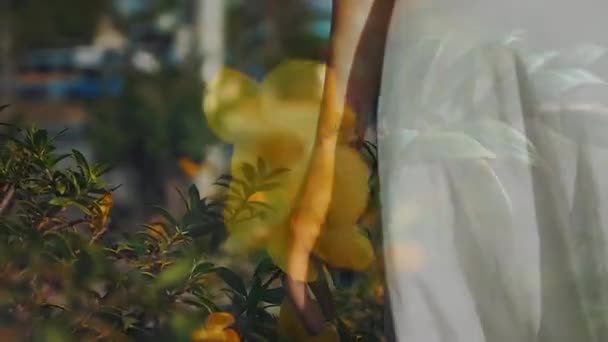 Wiosenny Klip Kwiatami Dziewczyną Białej Sukience Fragmenty Wideo Kwiatami Kroplą — Wideo stockowe