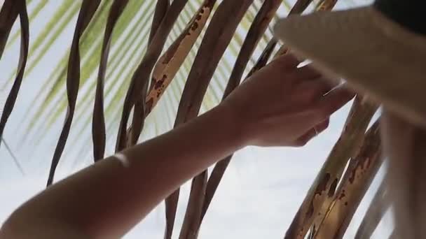 Дівчина Оточена Пальмовим Листям Дівчина Літньому Капелюсі Тропічних Островах Концепція — стокове відео