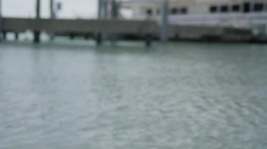 Sudan bir kız çıkar, sarı mayolu bir model denizde durur. Denizde bir kadın. Kız denizde banyo yapıyor.