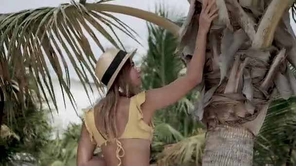 Lány Modell Sárga Fürdőruhában Megérinti Pálmafát Kezével Strandon Szexi Lány — Stock videók