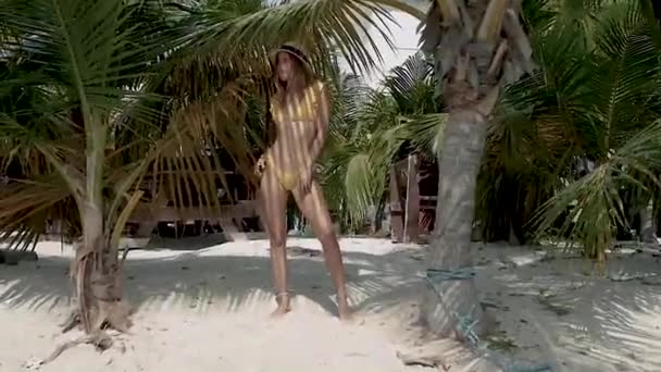 Model girl in a swimsuit posing on the beach on the sand near palm trees, a girl at the sea in the tropics — Stock Footage Model Girl Swimsuit Posing Beach Sand Palm Trees Girl Sea Video Clip