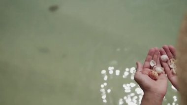 Kadın ellerinde deniz kabukları, yaz şapkalı genç bir kız deniz kabuğu topluyor. Denizde tatilde olan kız.