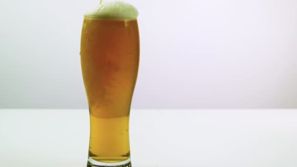 Bierschuim Stroomt Door Een Glas Bier Bier Een Witte Achtergrond — Stockvideo