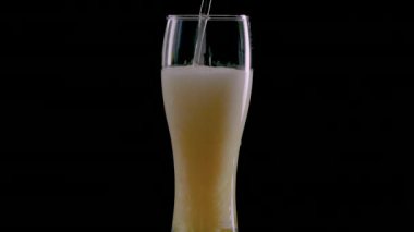 Bira bardağına dökülen bira, siyah arka planda bardakta bira taslağı, taze alkollü bira