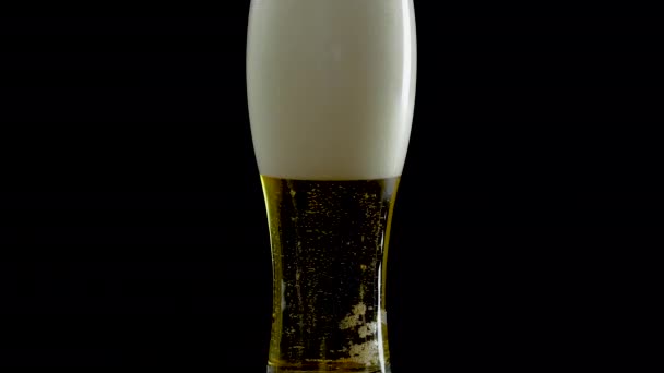 泡のあるガラスの中の軽いビール 黒い背景のガラスの中の生ビール — ストック動画