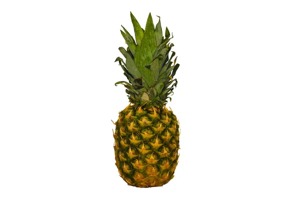 Naturlig Ananas Isolerad Vit Bakgrund Ananas Frukt Med Plats För — Stockfoto