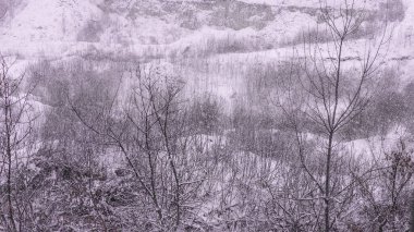 Karlı kış manzarası, kış soğuğu, kardaki dağlar.
