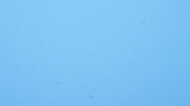 Gökyüzüne Karşı Kar Taneleri Kar Fırtınası Düşen Kar Arkaplanı — Stok video