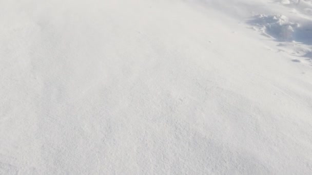 Fondo Invierno Tormenta Nieve Barre Camino Hermoso Frío Invierno — Vídeos de Stock