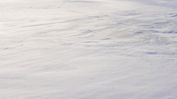 冬の吹雪は氷の川を掃き 風は雪で道を掃き 冬の背景は雪の結晶が氷の川に落ち 冬は寒い — ストック動画