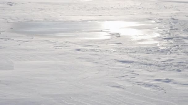 Buz Nehri Karla Kaplı Kış Soğuğu Kış Arkaplanı Kar Fırtınası — Stok video