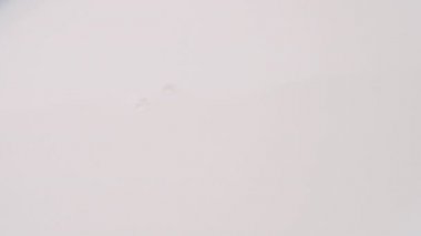 Fresh milk close-up of falling drops into milk in slow motion.