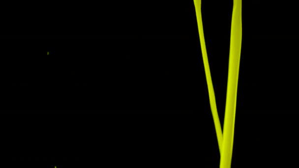 アクリル塗料からの抽象的な背景 黒を背景に流れる液体黄色の塗料 有機的なデザインの未来的な液体アニメーションフレーム 要約カラフルな動きの背景を閉じる — ストック動画