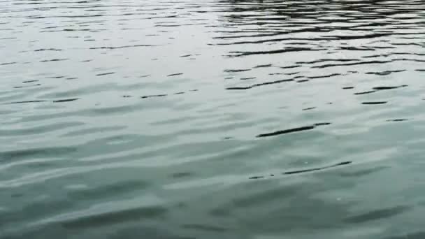 Tło Rzeki Rozpryski Wody Morskiej Widok Powierzchnię Wody Tło Powierzchni — Wideo stockowe