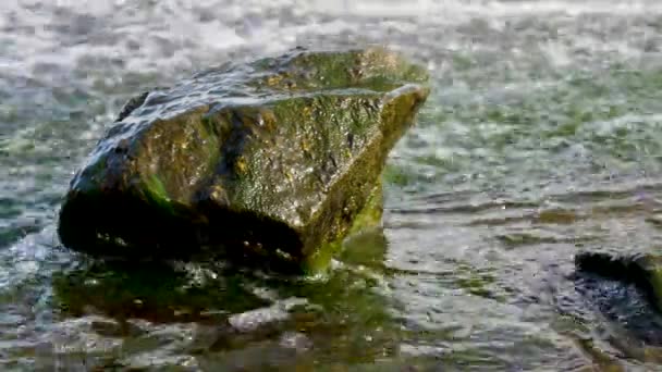 Detailní Vodopád Kámen Řece Říční Potok Průtok Vody Řece Přírodní — Stock video