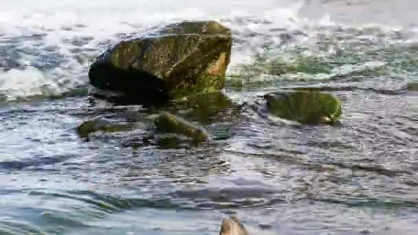 Речной Фон Горная Река Природа Жива Горный Водопад Течет Над — стоковое видео