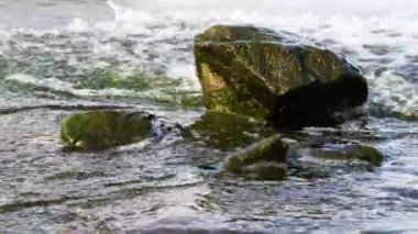 Taşlarla dolu bir dere, nehre yakın bir yer, dağ nehri ile doğal bir zemin..