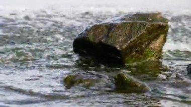 Derenin güzel arkaplanı, nehrin akıntısına yakın, nehir taşların üzerinden akıyor.