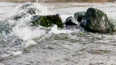 Taşlı nehir suyu. Dağ deresi. Taşlı nehir arkaplanı. Şelale. Bir dağ nehrinin güzel suları
