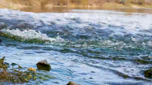 Ruisseau Dans Étang Ruisseau Eau Montagne Fond Rivière Les Éclaboussures — Video