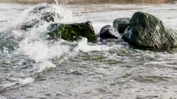 Eau Rivière Avec Des Pierres Ruisseau Fond Rivière Avec Des — Video