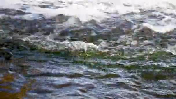 Éclaboussure Eau Rivière Sauvage Montagne Fond Eau Ruisseau Clair Ruissellement — Video