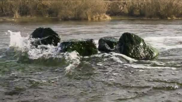 Schöne Natur Mit Einem Strom Von Wasser Das Steine Wäscht — Stockvideo