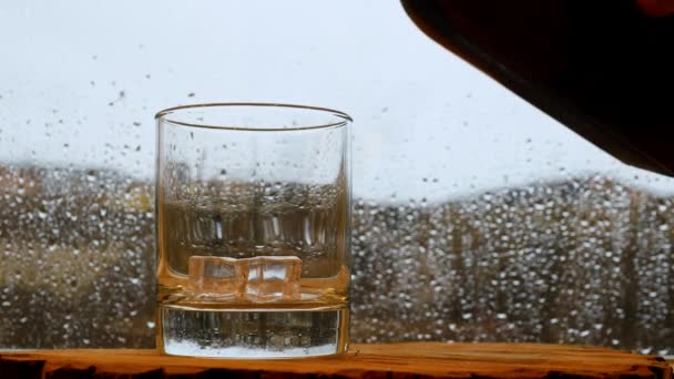 Whisky Baren Regnfönstret Häll Whisky Baren Ett Glas Whisky Med — Stockvideo