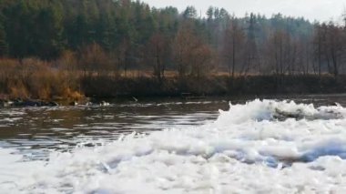 Ormanda bir su akıntısı, bir dağ nehri akar, nehirli bir ormanın güzel bir arka planı. Şelale